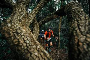 BIB: 
                            <button type="button" onclick="openModal(25393491)" class="btn btn-primary btn-sm float-right btn-popup" data-toggle="modal" data-target=".modal-high-quality">
                        <i class="fas fa-shopping-cart"></i> Add to Cart
                    </button>
                                            <button type="button" onclick="isThisMe(25393491, true)" class="btn btn-success btn-sm float-right btn-popup btn-isme hidden" data-toggle="tooltip" data-placement="bottom" title="นี่คือรูปของคุณใช่ไหม คลิกที่นี่เพื่อเอาเข้าอัลบั้ม">
                        <i class="fas fa-plus"></i> Add to album
                    </button>
                    <button type="button" onclick="isThisMe(25393491, false)" class="btn btn-warning btn-sm float-right btn-popup btn-isnotme hidden">
                        <i class="fas fa-ban"></i> Remove from album
                    </button>